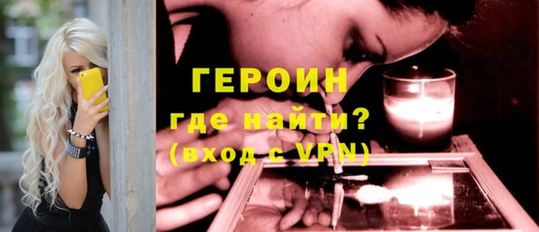 прущие грибы Новозыбков