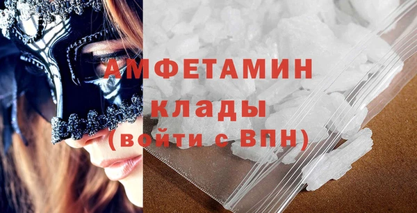 прущие грибы Новозыбков