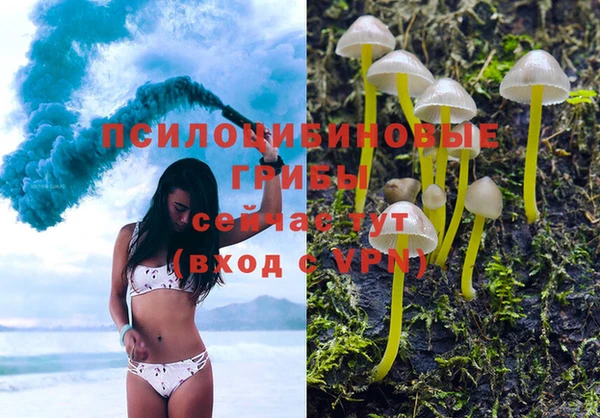 стафф Балабаново
