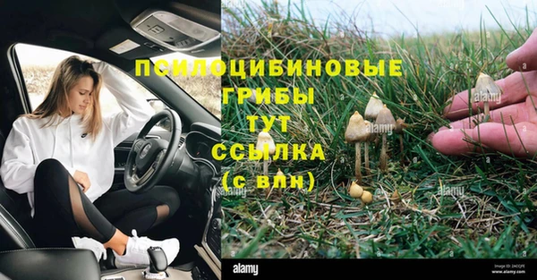 стаф Балахна