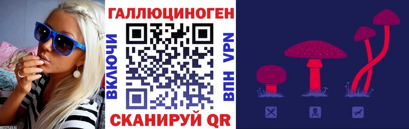 Галлюциногенные грибы Cubensis  хочу наркоту  Дыгулыбгей 
